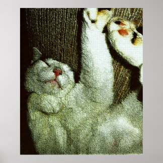 Bob genießt ein Nickerchen Poster