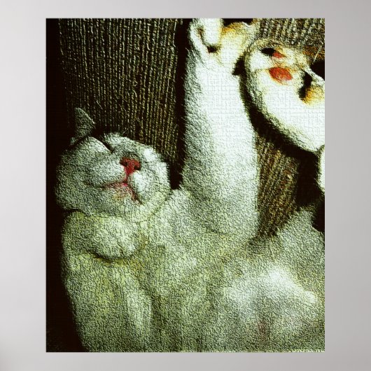 Bob genießt ein Nickerchen Poster (Vorne)