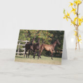 Bob Langrish | 3 Andalucian Youngsters Standing Karte (Gelbe Blume)