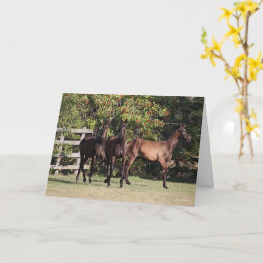Bob Langrish | 3 Andalucian Youngsters Standing Karte (Gelbe Blume)