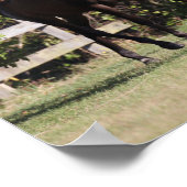 Bob Langrish | 3 Jugendliche aus Andalusien Stehen Poster (Ecke)