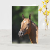 Bob Langrish | Akhal Teke Headshot Karte (Gelbe Blume)