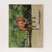 Bob Langrish | Akhal Teke Stallion Leaping Puzzle (Vertikal)