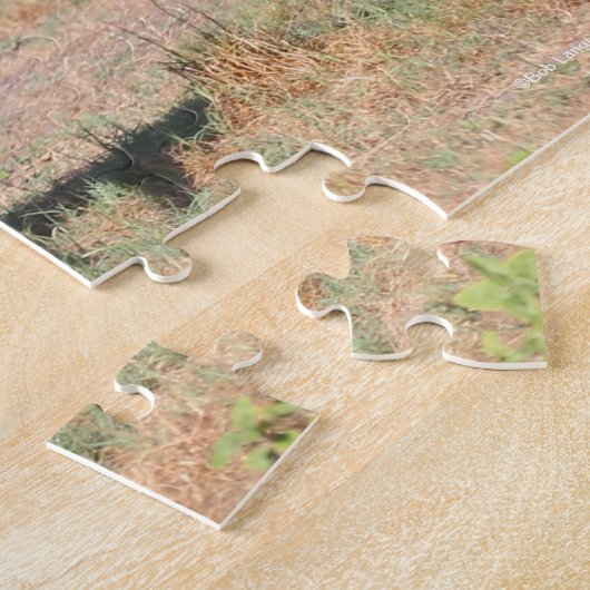 Bob Langrish | Akhal Teke Stallion Leaping Puzzle (Seite)