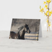 Bob Langrish | Andalusischer Headshot Mane Flows Karte (Gelbe Blume)