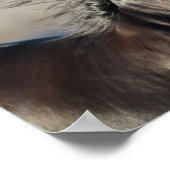 Bob Langrish | Andalusischer Headshot Mane Flows Poster (Ecke)