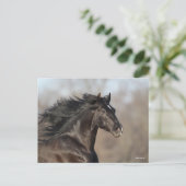 Bob Langrish | Andalusischer Headshot Mane Flows Postkarte (Stehend Vorderseite)