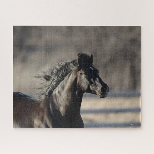 Bob Langrish | Andalusischer Headshot Mane Flows Puzzle (Horizontal)