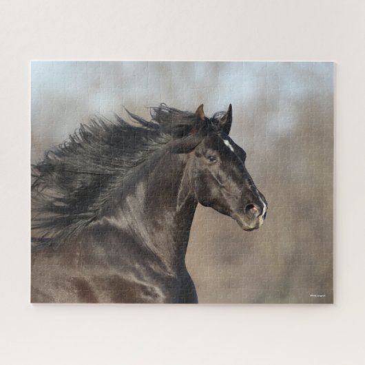 Bob Langrish | Andalusischer Headshot Mane Flows Puzzle (Horizontal)