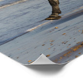 Bob Langrish Andalusischer Hengst am Strand Poster (Ecke)