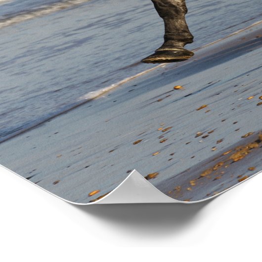 Bob Langrish Andalusischer Hengst am Strand Poster (Ecke)