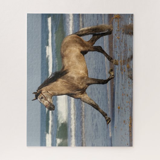 Bob Langrish Andalusischer Hengst am Strand Puzzle (Vertikal)