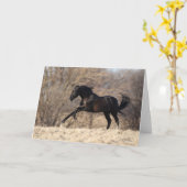 Bob Langrish | Andalusischer Running Karte (Gelbe Blume)