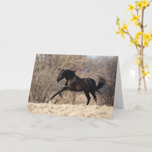 Bob Langrish | Andalusischer Running Karte (Gelbe Blume)