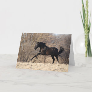 Bob Langrish   Andalusischer Running Karte