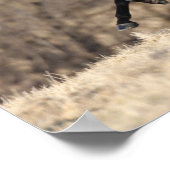 Bob Langrish | Andalusischer Running Poster (Ecke)