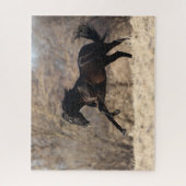 Bob Langrish | Andalusischer Running Puzzle (Vertikal)