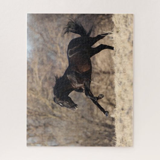 Bob Langrish | Andalusischer Running Puzzle (Vertikal)