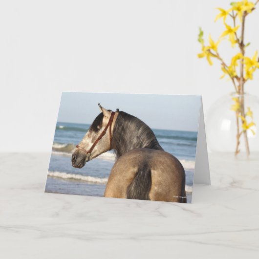 Bob Langrish | Andalusischer Stallion Karte (Gelbe Blume)