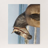 Bob Langrish | Andalusischer Stallion Puzzle (Vertikal)