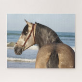 Bob Langrish | Andalusischer Stallion Puzzle (Horizontal)