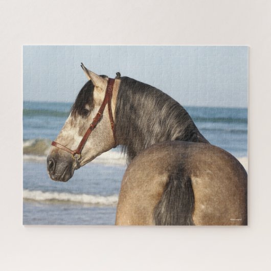 Bob Langrish | Andalusischer Stallion Puzzle (Horizontal)