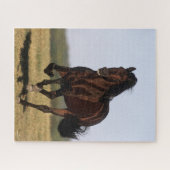 Bob Langrish | Andalusischer Stallion Running Puzzle (Horizontal)