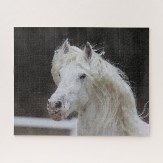 Bob Langrish Appaloosa Friesian Stallion Headshot Puzzle (Horizontal)