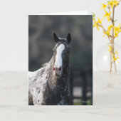Bob Langrish | Appaloosa Headshot Karte (Gelbe Blume)