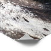 Bob Langrish | Appaloosa Headshot Poster (Ecke)