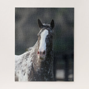 Bob Langrish Appaloosa Headshot Puzzle