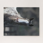 Bob Langrish | Appaloosa Headshot Puzzle (Horizontal)