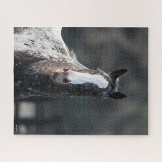 Bob Langrish | Appaloosa Headshot Puzzle (Horizontal)