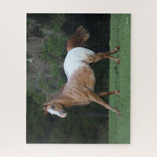 Bob Langrish | Appaloosa Pferderennen Puzzle (Vertikal)