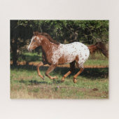 Bob Langrish | Appaloosa Pferderennen Puzzle (Horizontal)