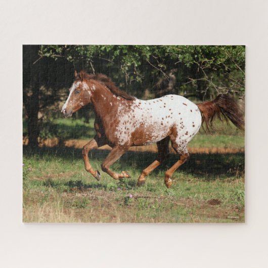 Bob Langrish | Appaloosa Pferderennen Puzzle (Horizontal)