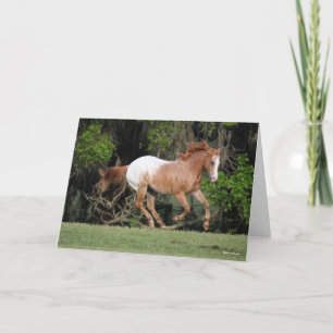 Bob Langrish   Appaloosa Running Karte