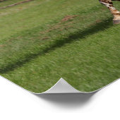 Bob Langrish | Appaloosa Running Poster (Ecke)