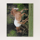 Bob Langrish | Appaloosa Running Puzzle (Vertikal)