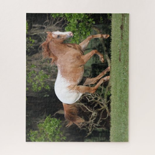 Bob Langrish | Appaloosa Running Puzzle (Vertikal)