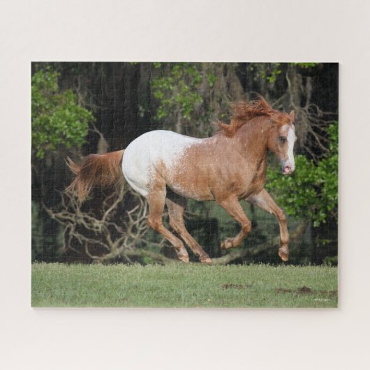 Bob Langrish | Appaloosa Running Puzzle (Horizontal)
