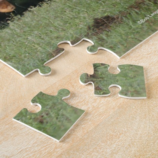 Bob Langrish | Appaloosa Running Puzzle (Seite)