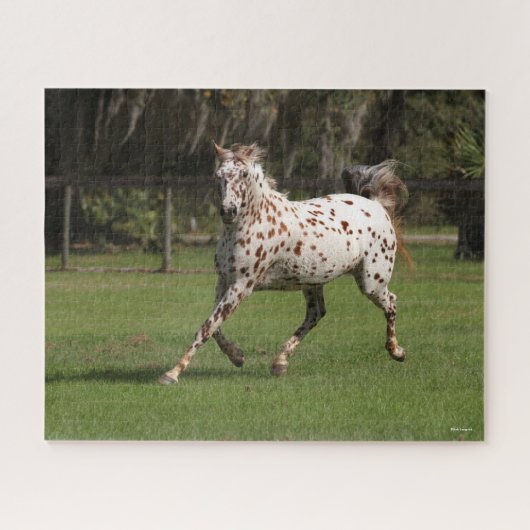Bob Langrish | Appaloosa Running Puzzle (Horizontal)