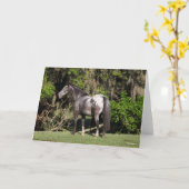 Bob Langrish | Appaloosa Standing Karte (Gelbe Blume)