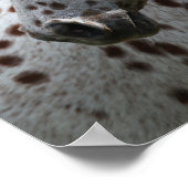 Bob Langrish | Appaloosa Stehend Headshot Poster (Ecke)