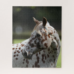 Bob Langrish Appaloosa Stehend Headshot Puzzle
