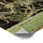 Bob Langrish | Appaloosa Stehend Poster (Ecke)