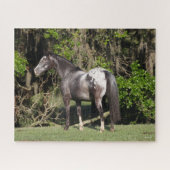 Bob Langrish | Appaloosa Stehend Puzzle (Horizontal)