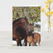 Bob Langrish | Arab Mare and Foal Standing Karte (Gelbe Blume)