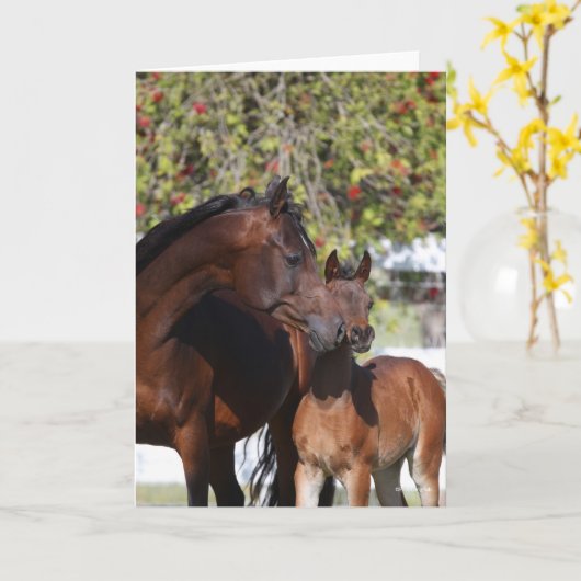 Bob Langrish | Arab Mare and Foal Standing Karte (Gelbe Blume)